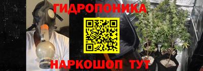 крисы Краснокаменск