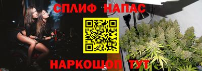 стаф Краснознаменск