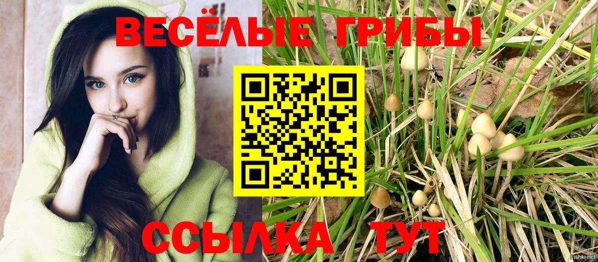 Галлюциногенные грибы MAGIC MUSHROOMS Фролово