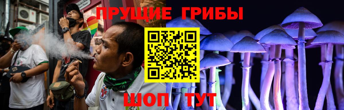 Галлюциногенные грибы прущие грибы  Вход с VPN  Фролово  Галлюциногенные грибы GOLDEN TEACHER 